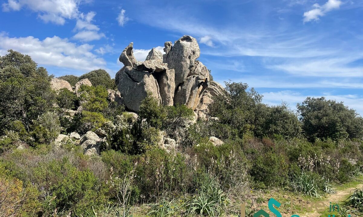 cottage-for-sale-Sardinia (101)