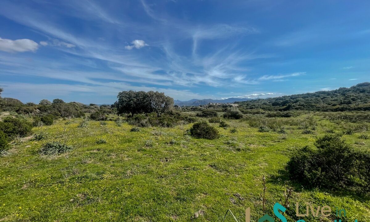 cottage-for-sale-Sardinia (103)