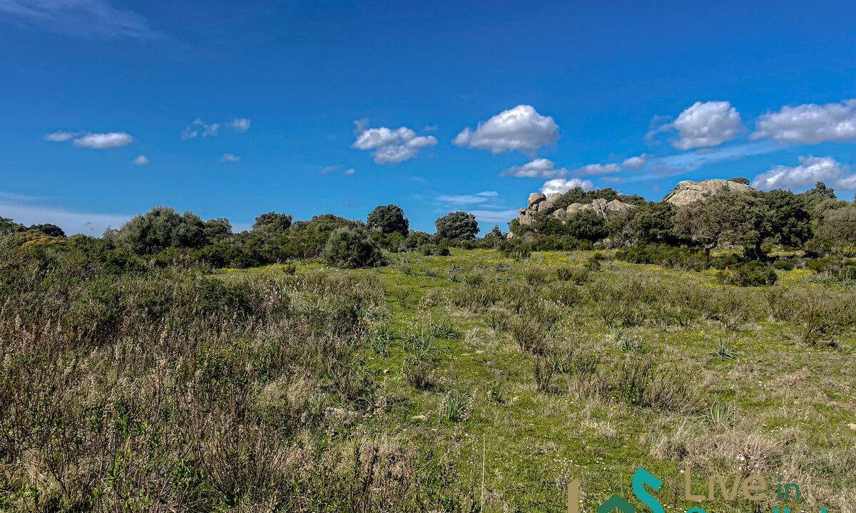 cottage-for-sale-Sardinia (112)