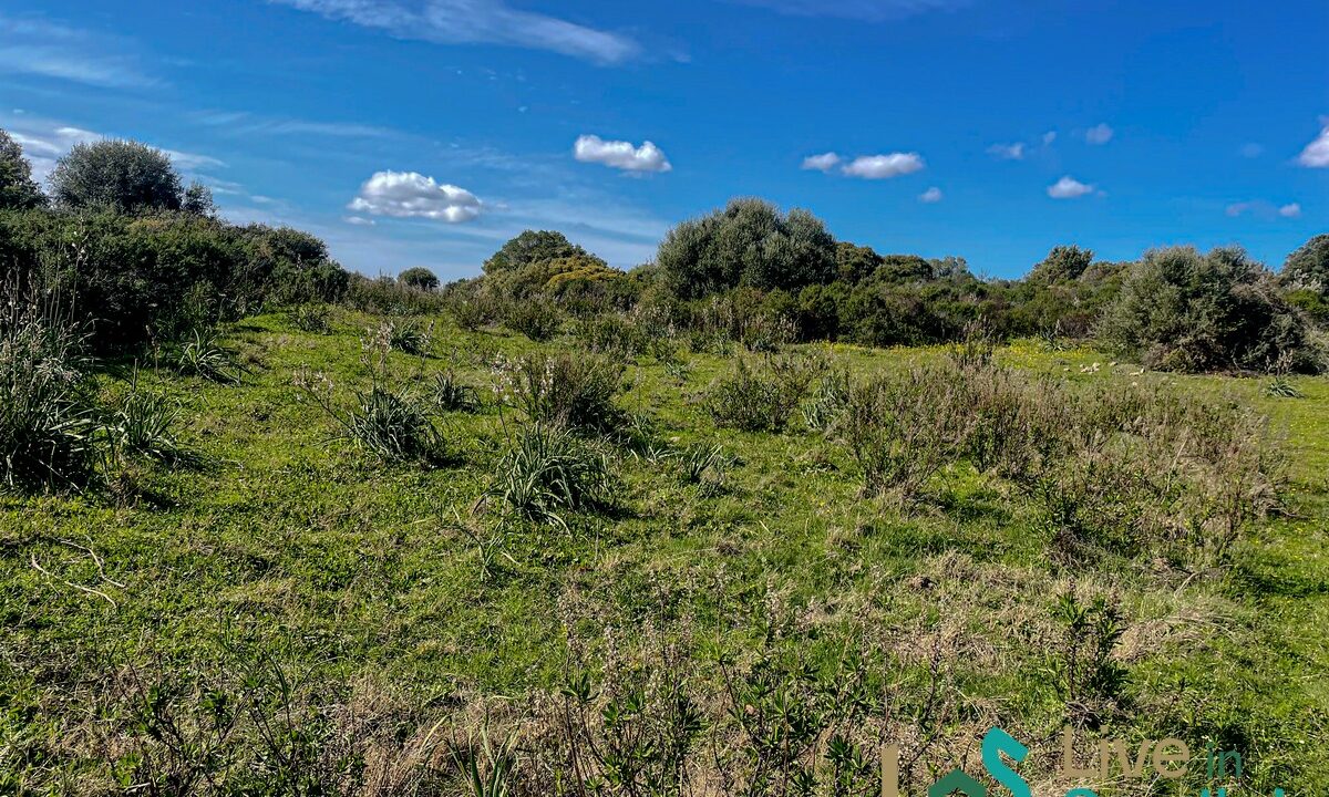 cottage-for-sale-Sardinia (114)