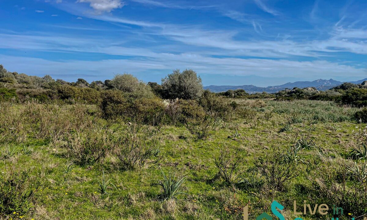 cottage-for-sale-Sardinia (115)