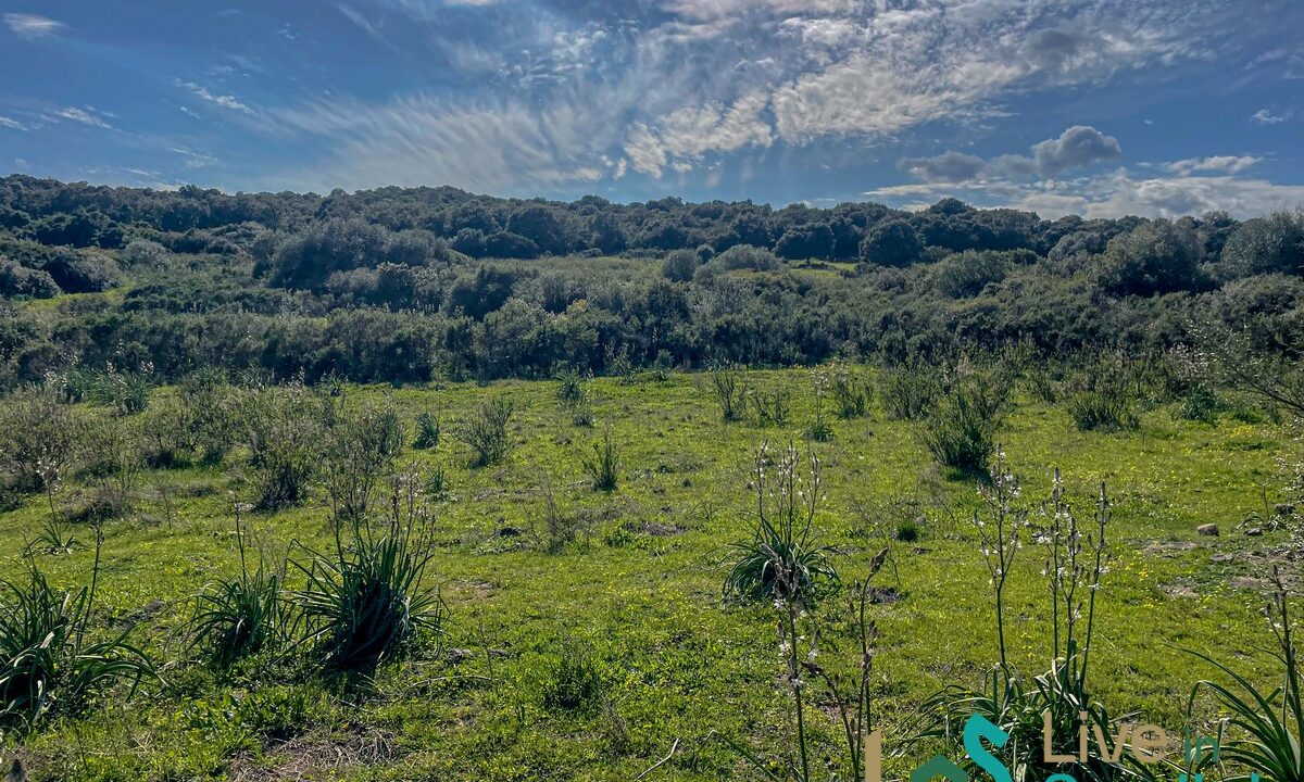 cottage-for-sale-Sardinia (116)