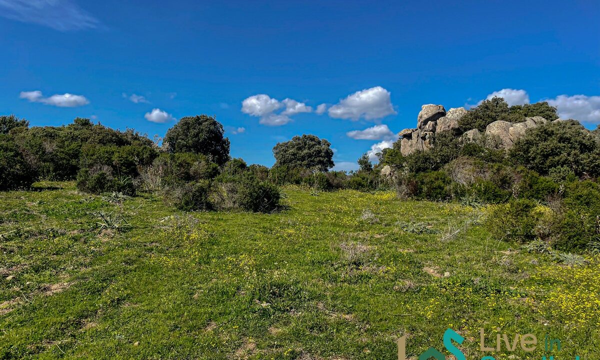 cottage-for-sale-Sardinia (117)