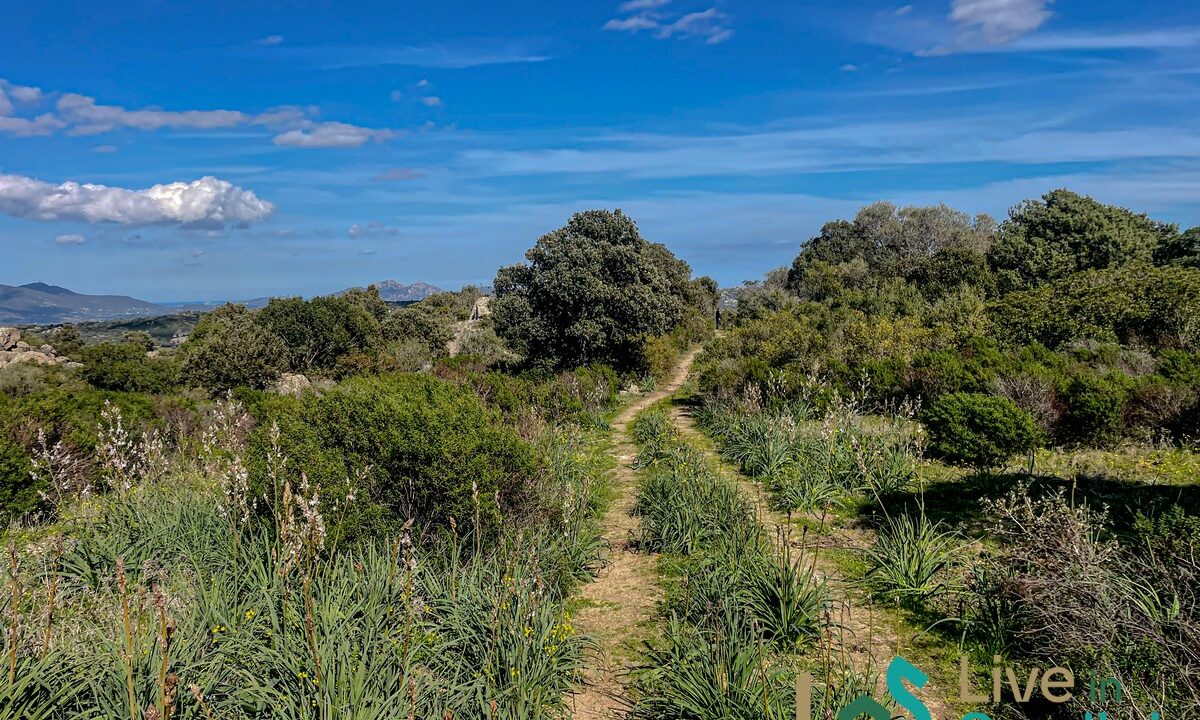 cottage-for-sale-Sardinia (121)