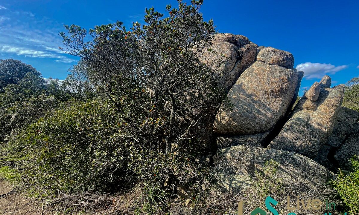 cottage-for-sale-Sardinia (123)