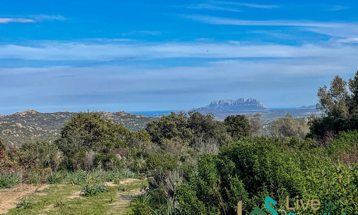 cottage-for-sale-Sardinia (128)