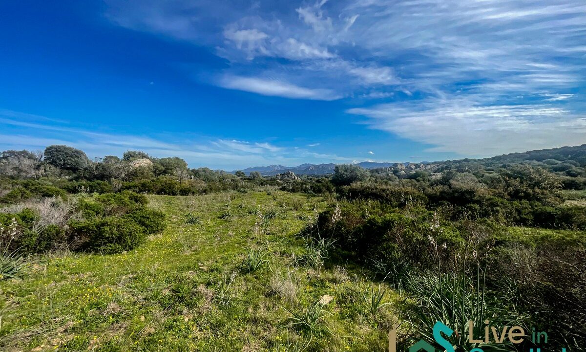 cottage-for-sale-Sardinia (129)
