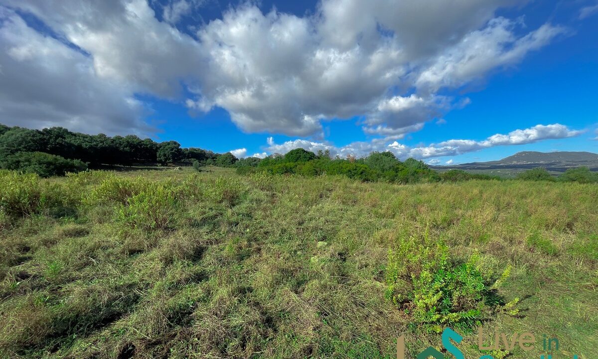 cottage-for-sale-Sardinia (154)