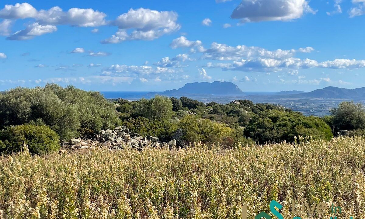 cottage-for-sale-Sardinia (160)