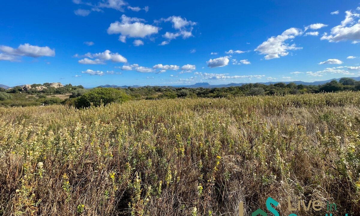 cottage-for-sale-Sardinia (162)