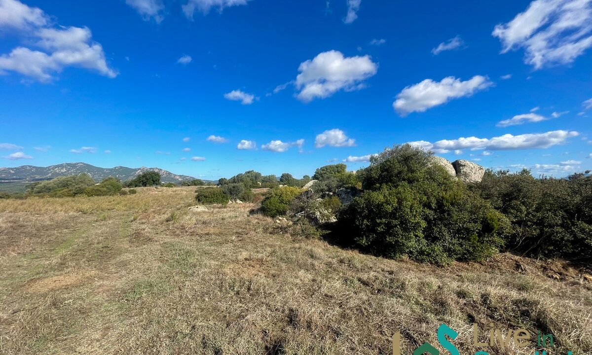 cottage-for-sale-Sardinia (163)