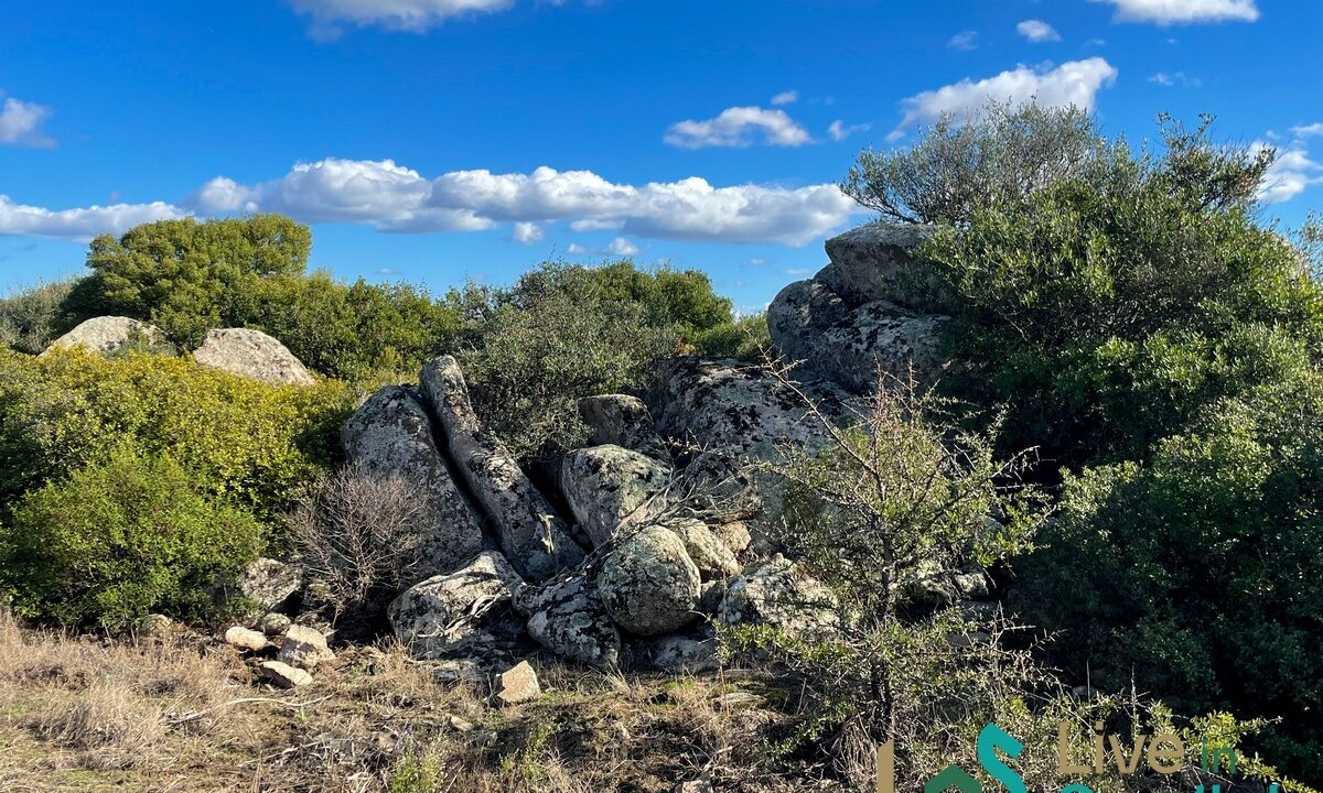 cottage-for-sale-Sardinia (165)
