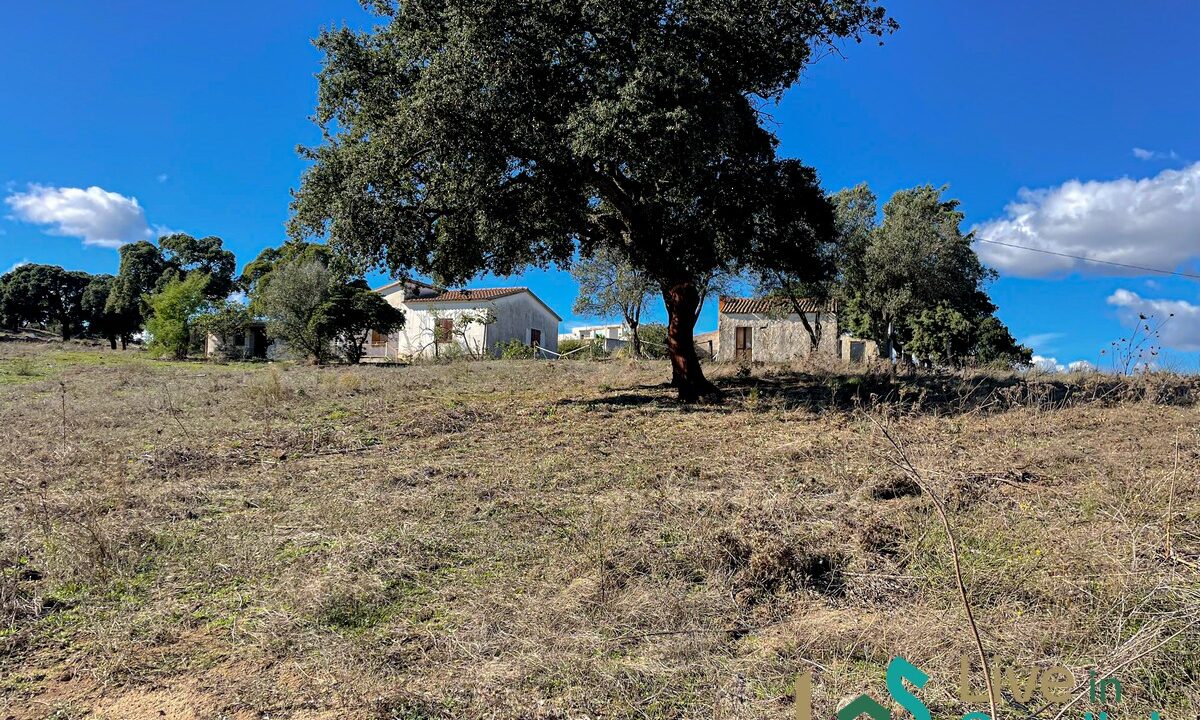 cottage-for-sale-Sardinia (181)