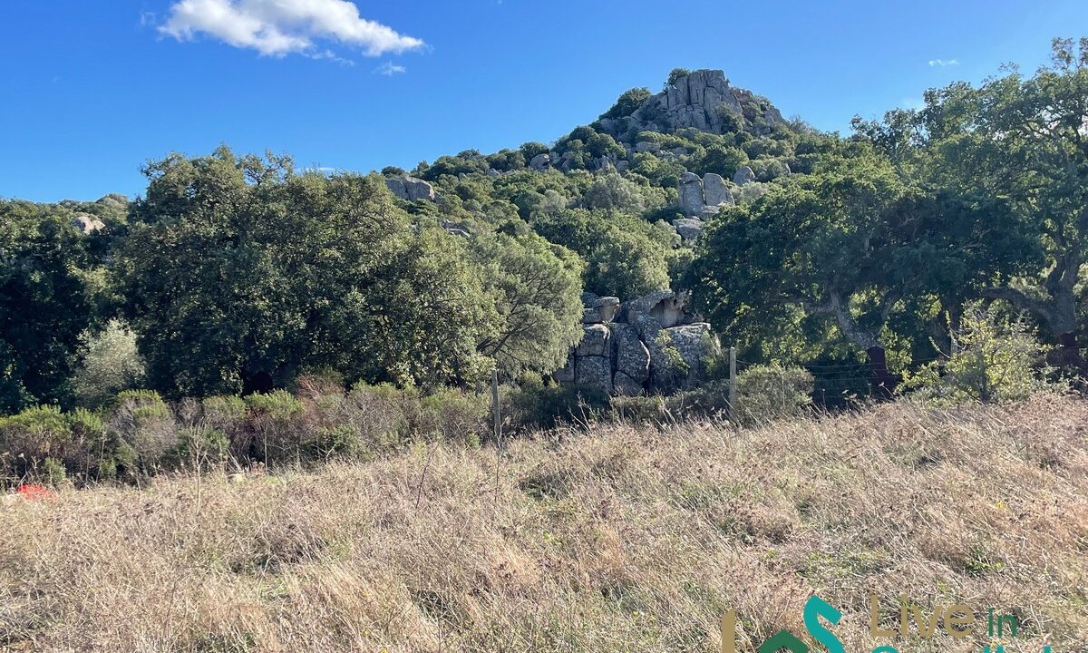cottage-for-sale-Sardinia (184)