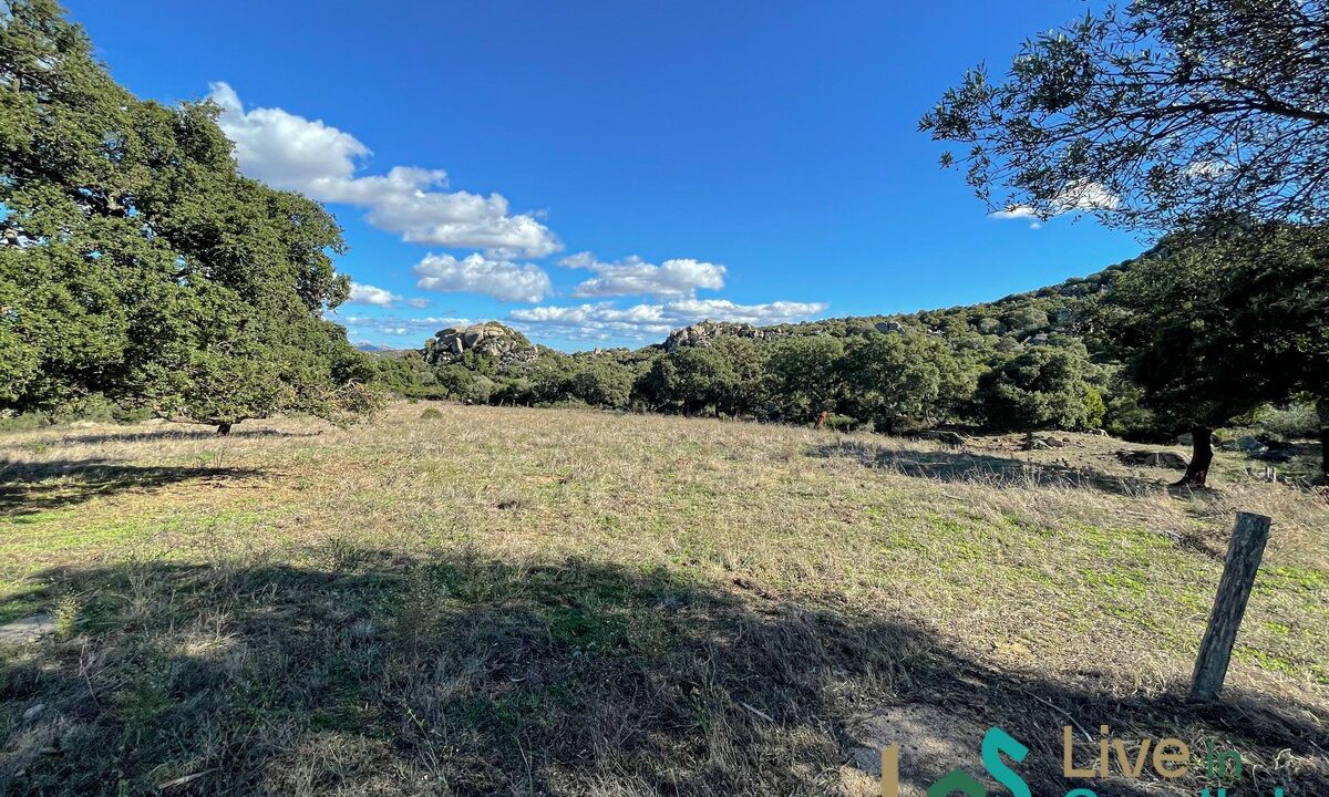 cottage-for-sale-Sardinia (188)