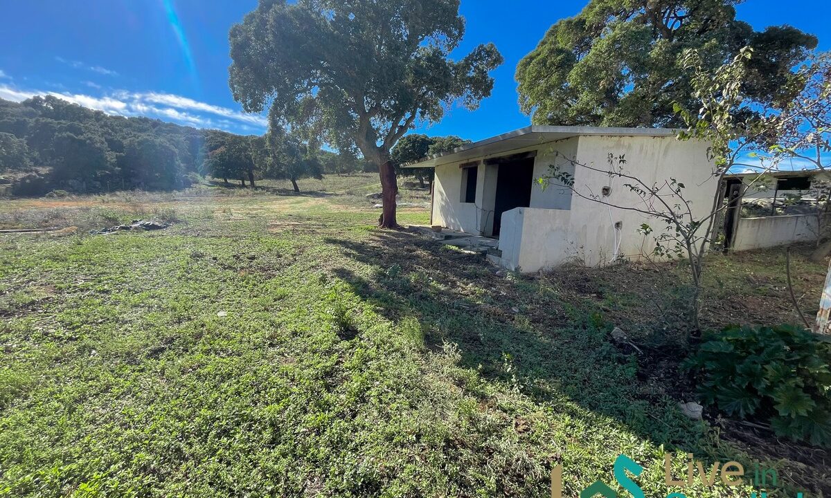 cottage-for-sale-Sardinia (191)