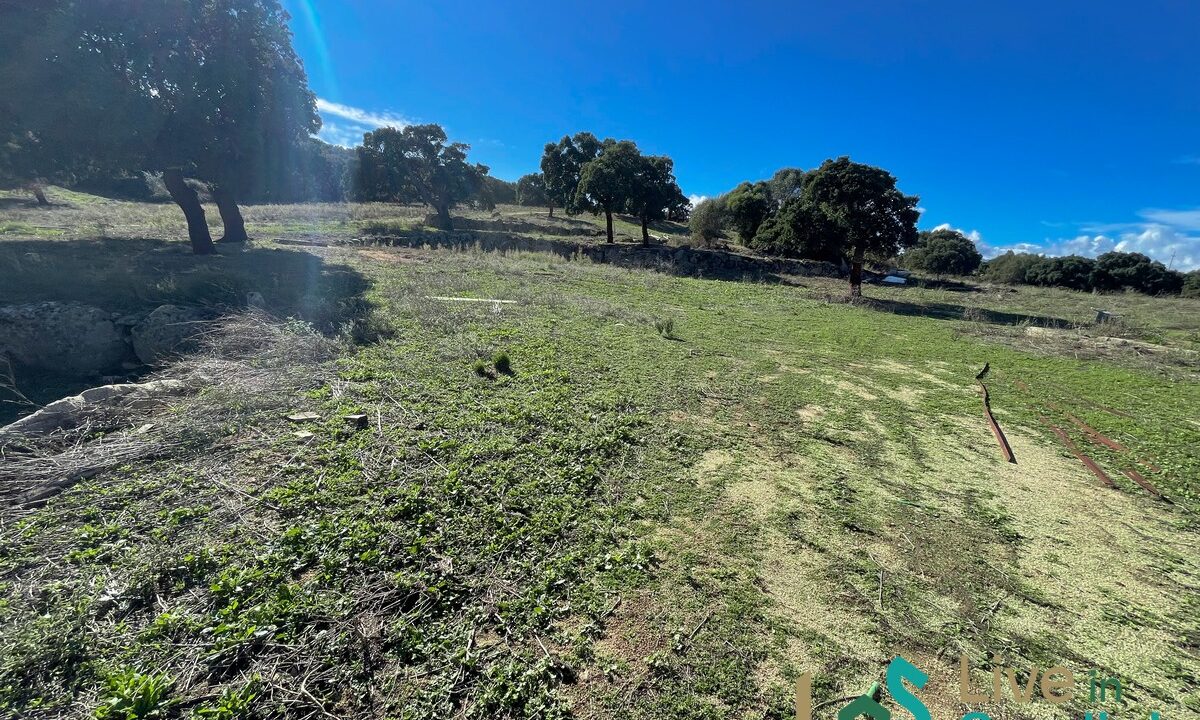 cottage-for-sale-Sardinia (193)