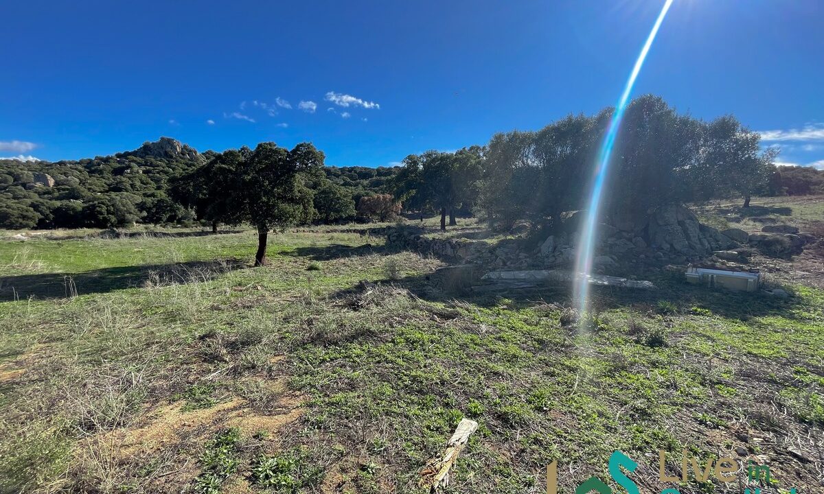 cottage-for-sale-Sardinia (195)