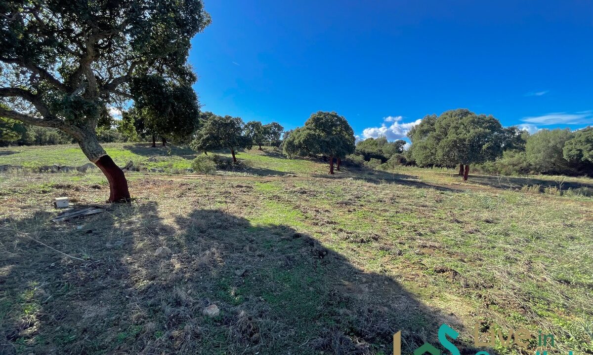 cottage-for-sale-Sardinia (196)
