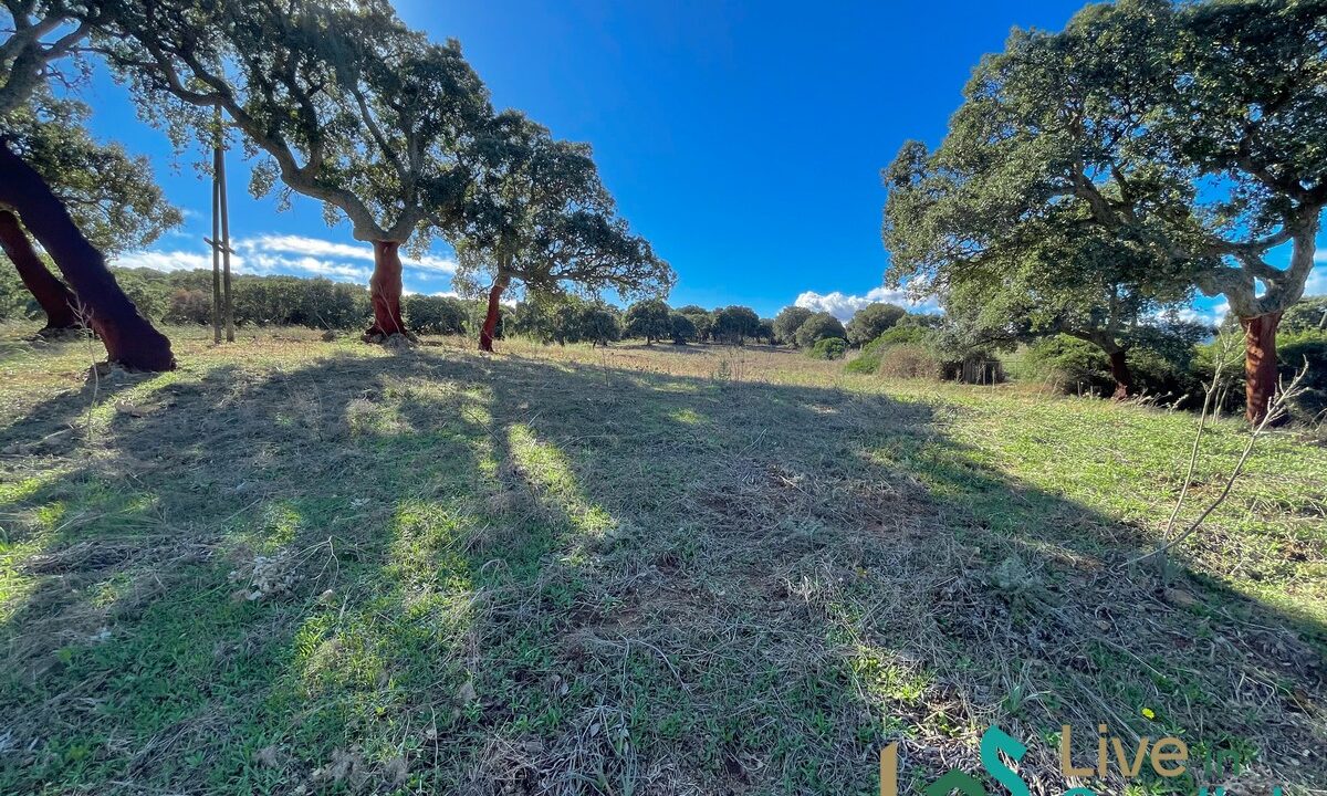 cottage-for-sale-Sardinia (197)
