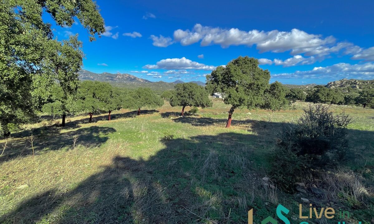 cottage-for-sale-Sardinia (198)