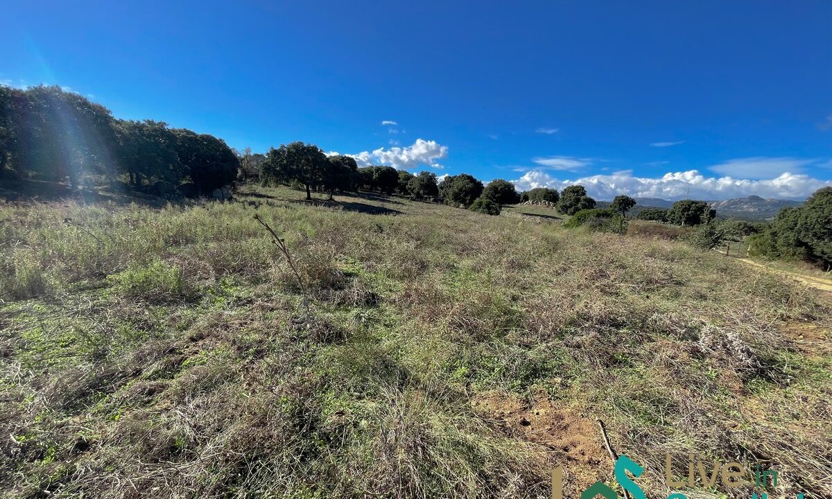 cottage-for-sale-Sardinia (201)