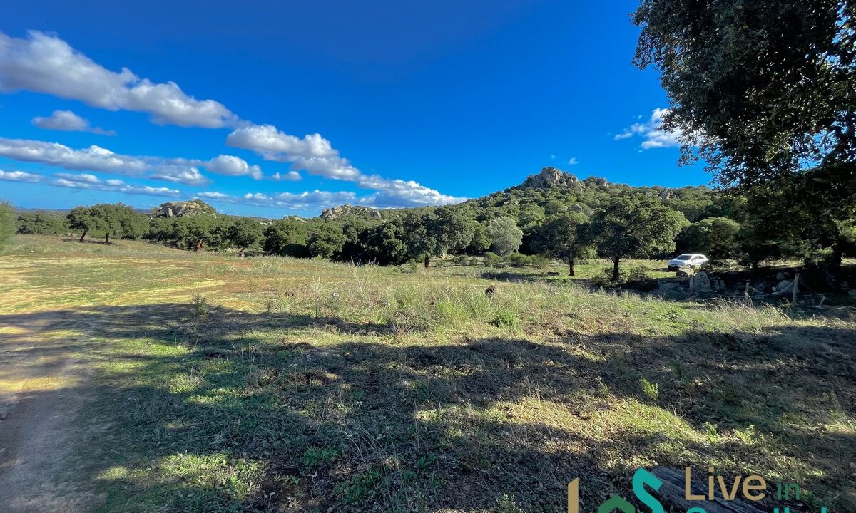 cottage-for-sale-Sardinia (203)