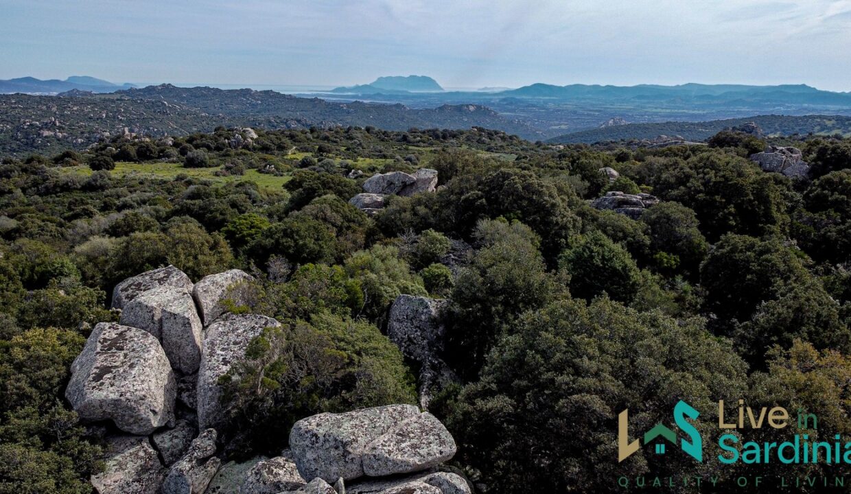 Cottage-for-Sale-Sardinia
