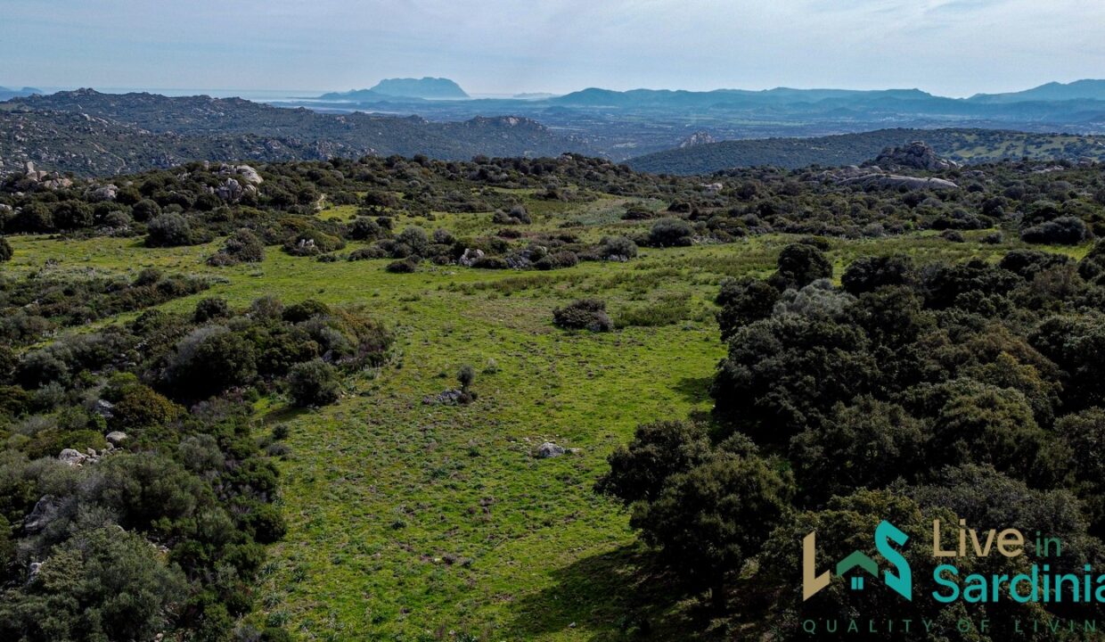 Cottage-for-Sale-Sardinia