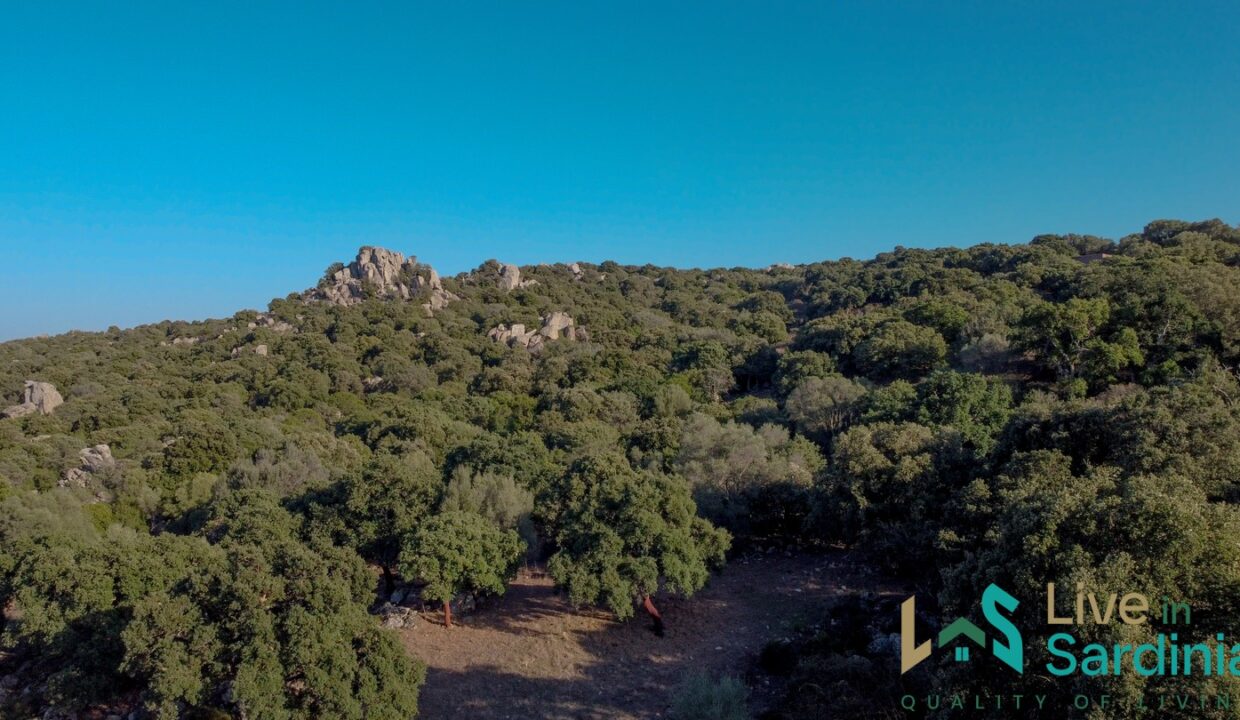 Cottage-for-Sale-Sardinia
