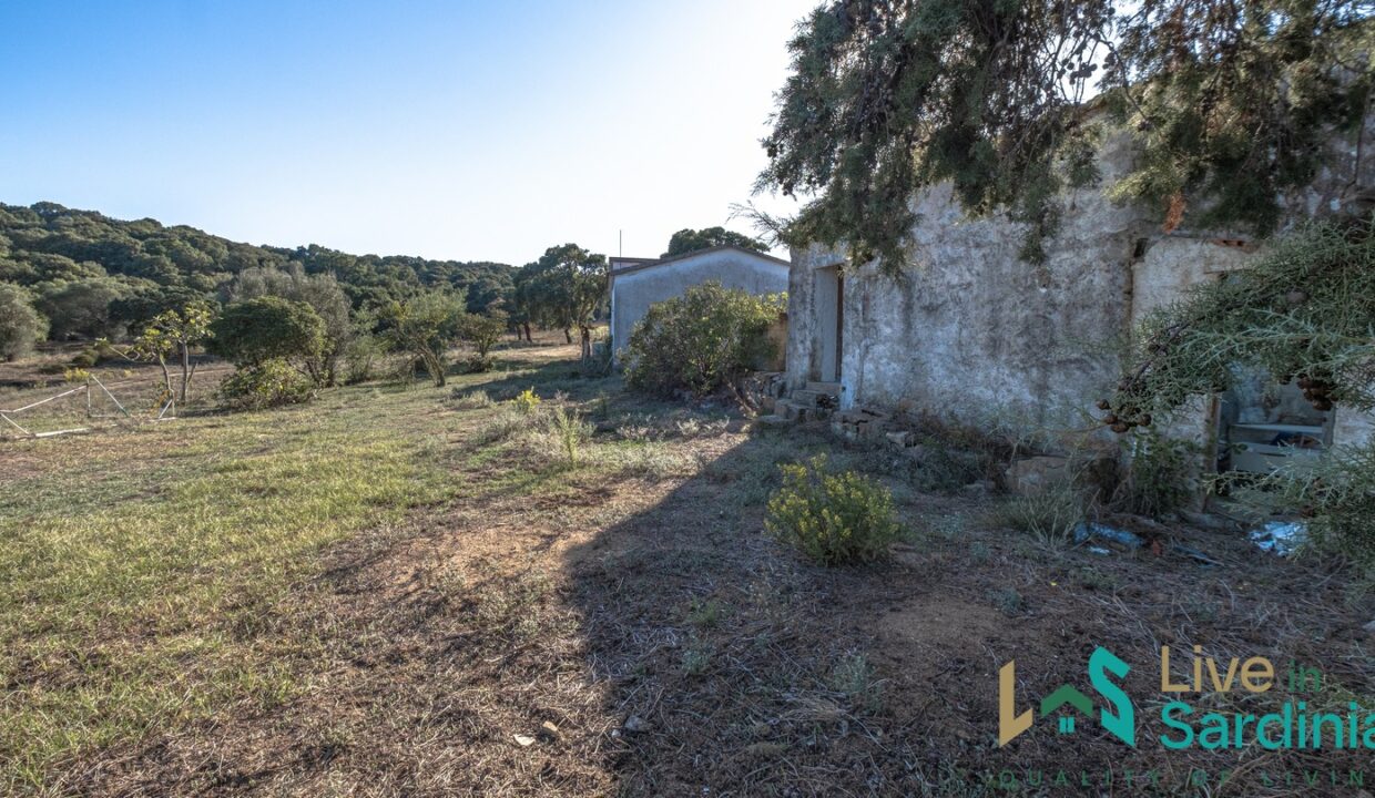 cottage-for-sale-Sardinia (74)