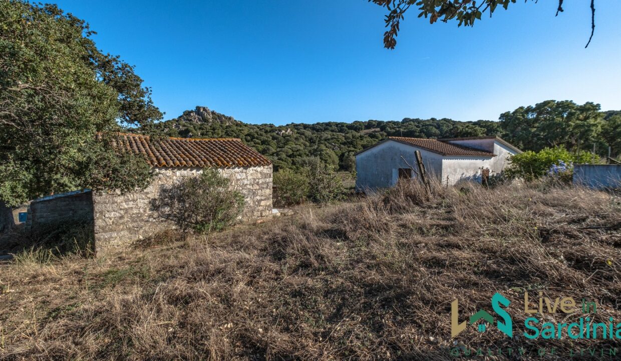cottage-for-sale-Sardinia (76)