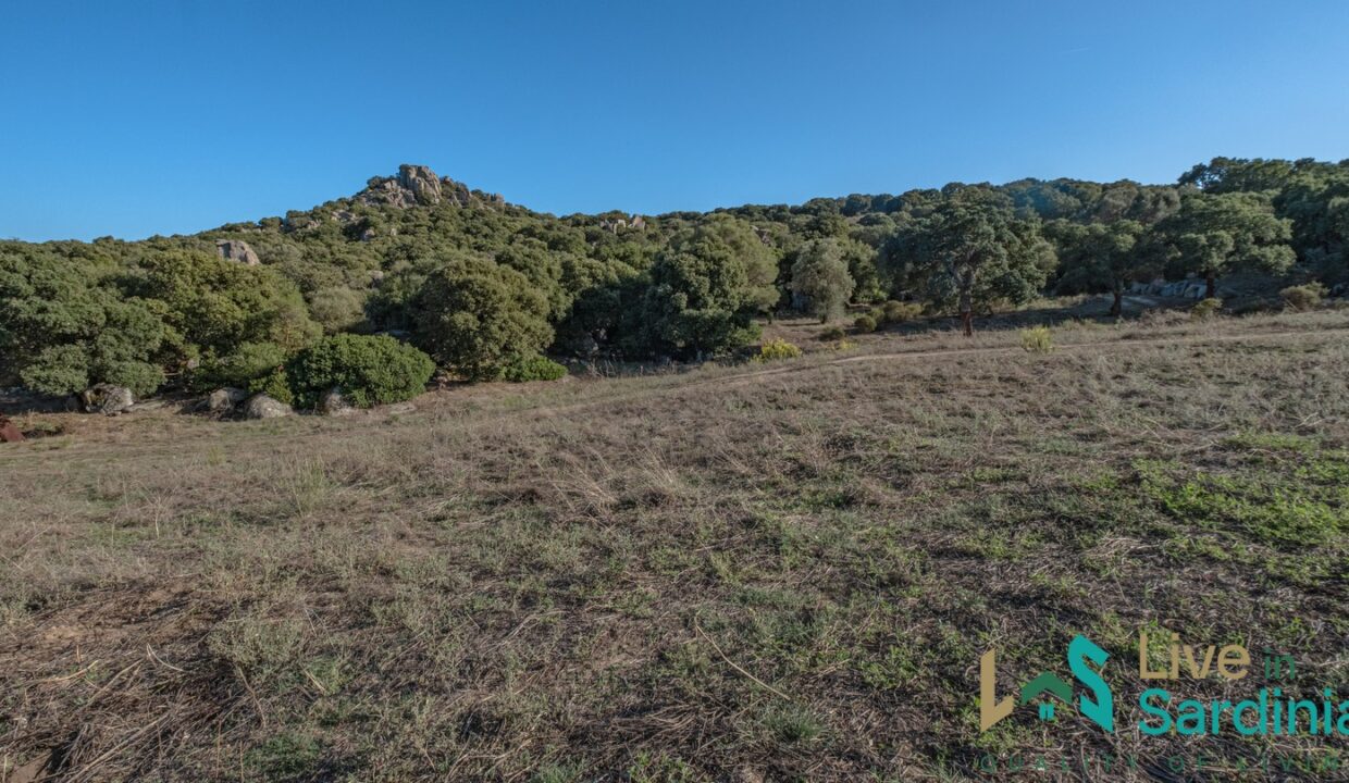 cottage-for-sale-Sardinia (82)