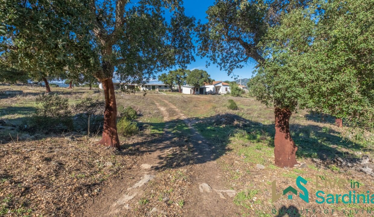 cottage-for-sale-Sardinia (88)