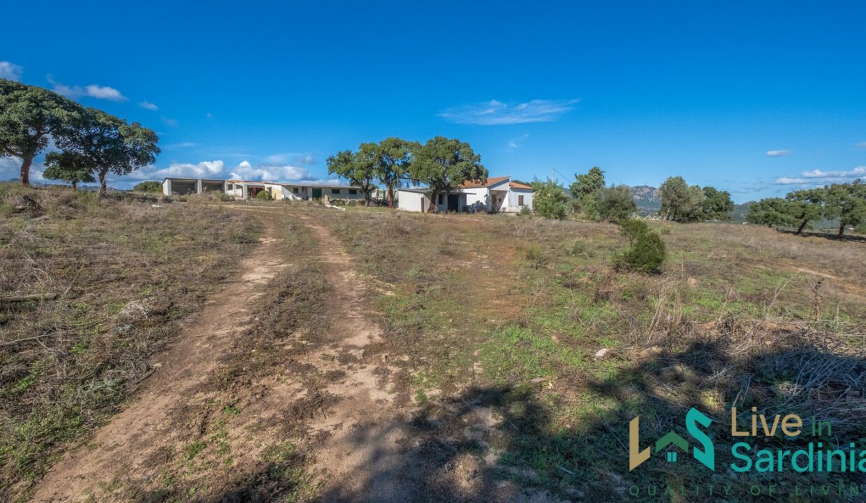 cottage-for-sale-Sardinia (89)