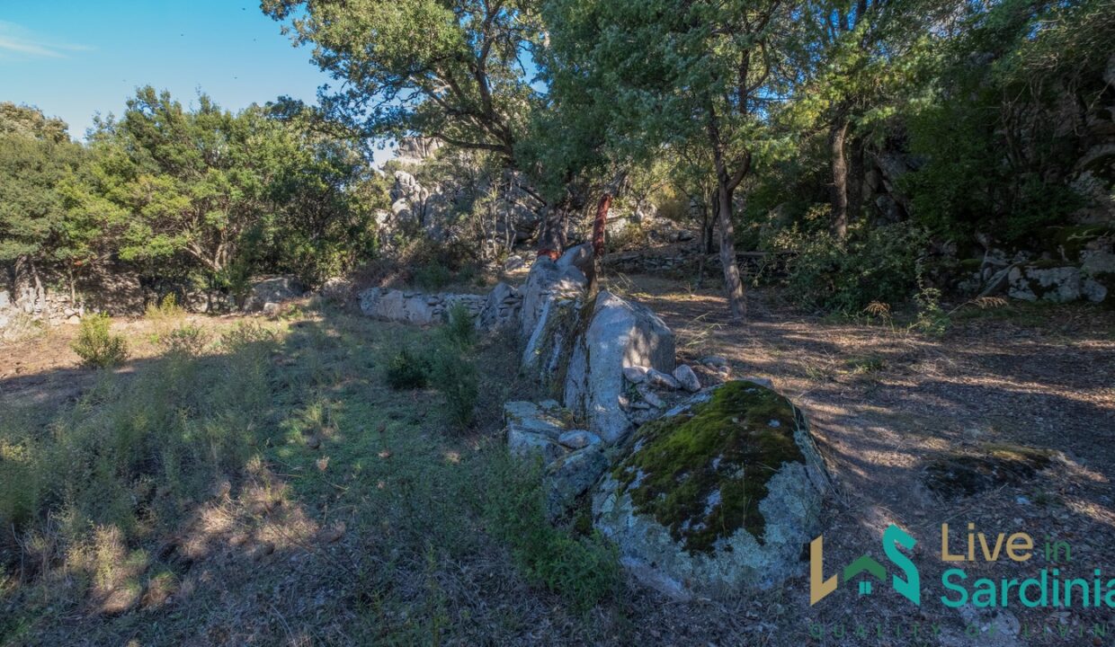cottage-for-sale-Sardinia (96)