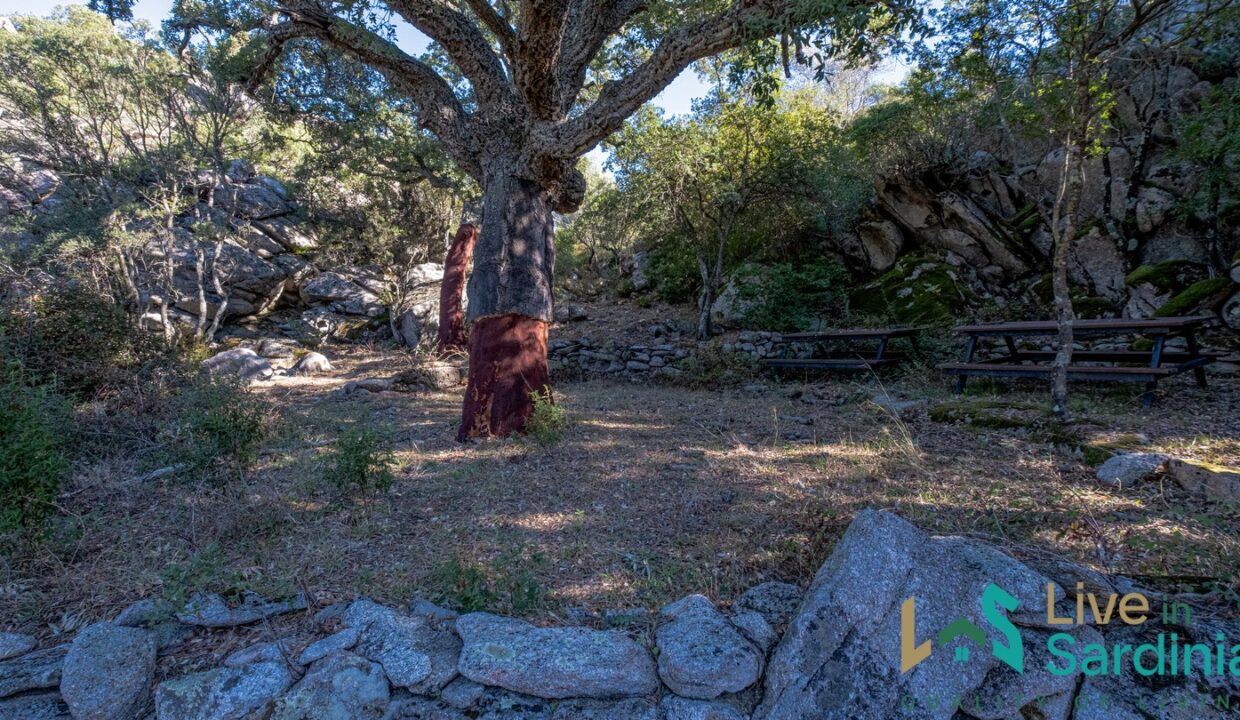 cottage-for-sale-Sardinia (97)