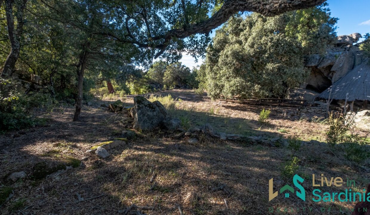 cottage-for-sale-Sardinia (99)