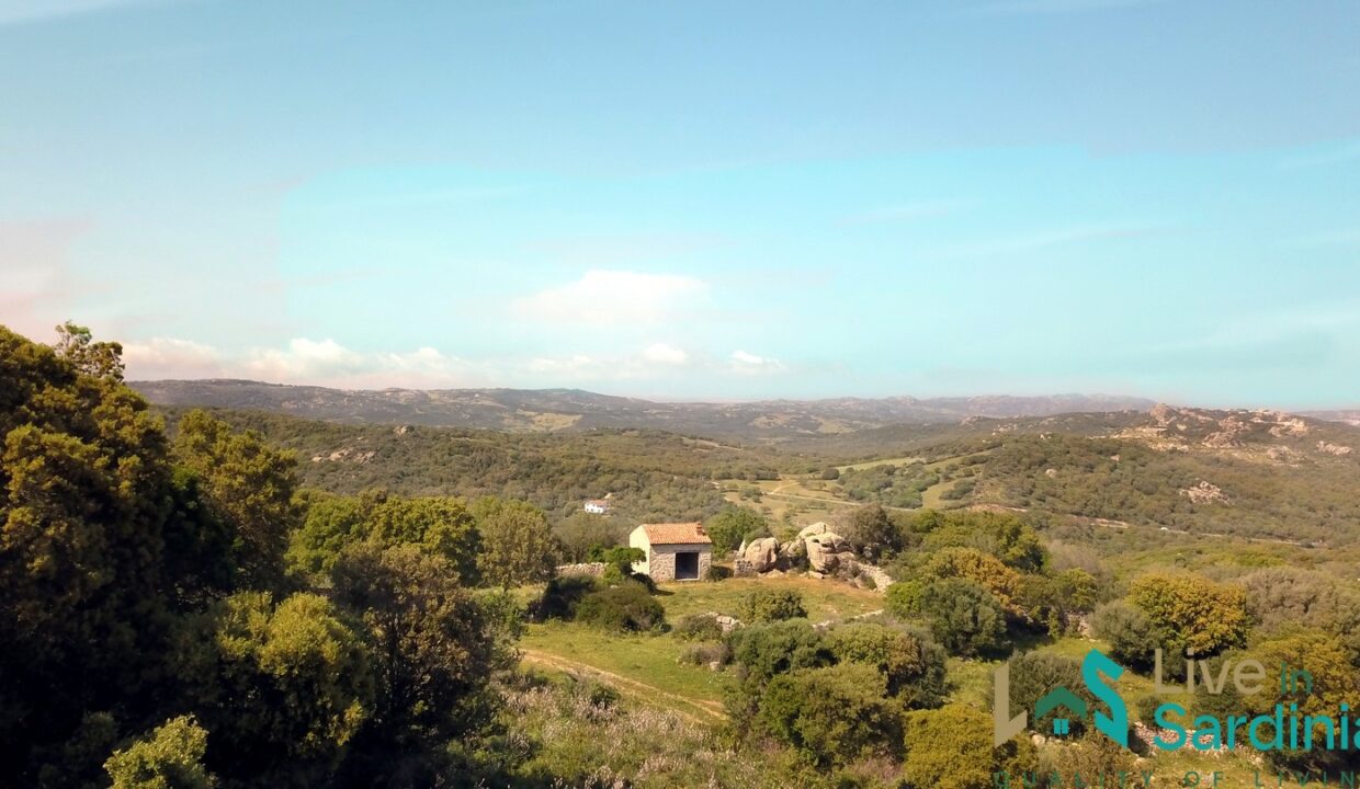 Farmhouse-for-Sale-in-Luogosanto