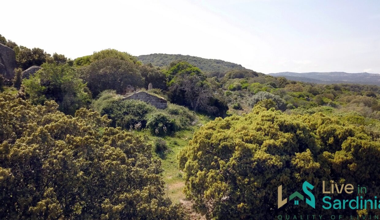 Farmhouse-for-Sale-in-Luogosanto