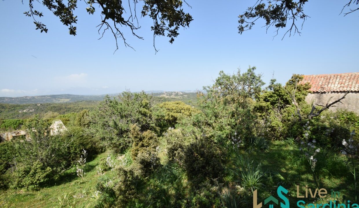 farmhouse-for-sale-luogosanto (5)