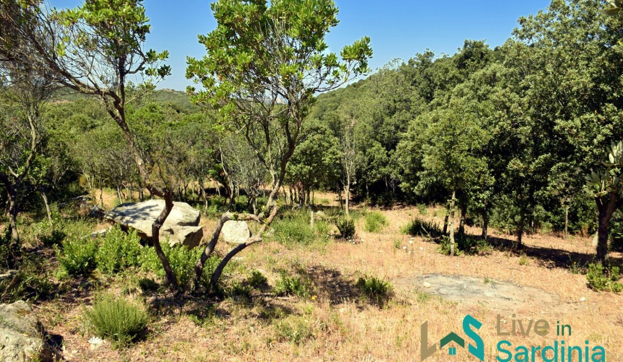 rural-villas-for-sale-in-Sardinia (15)