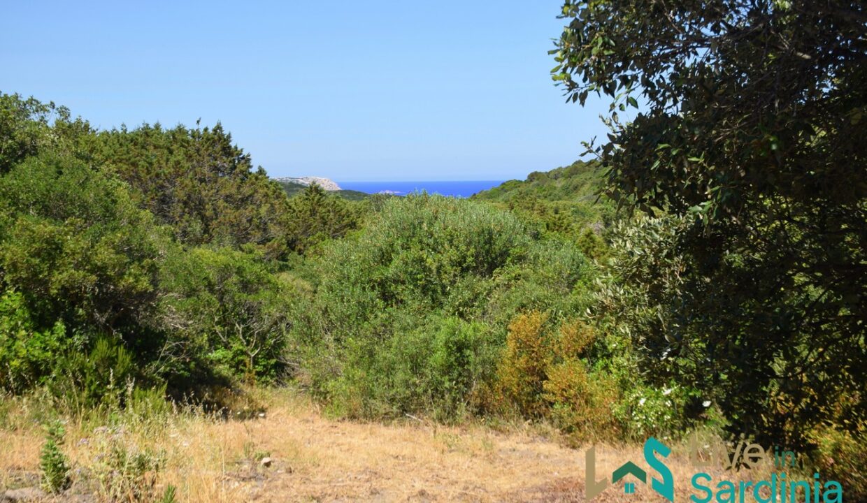 rural-villas-for-sale-in-Sardinia (16)