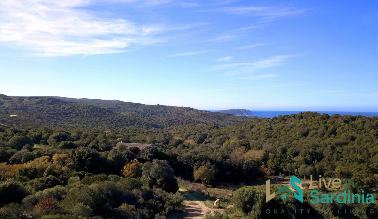 rural-villas-for-sale-in-Sardinia