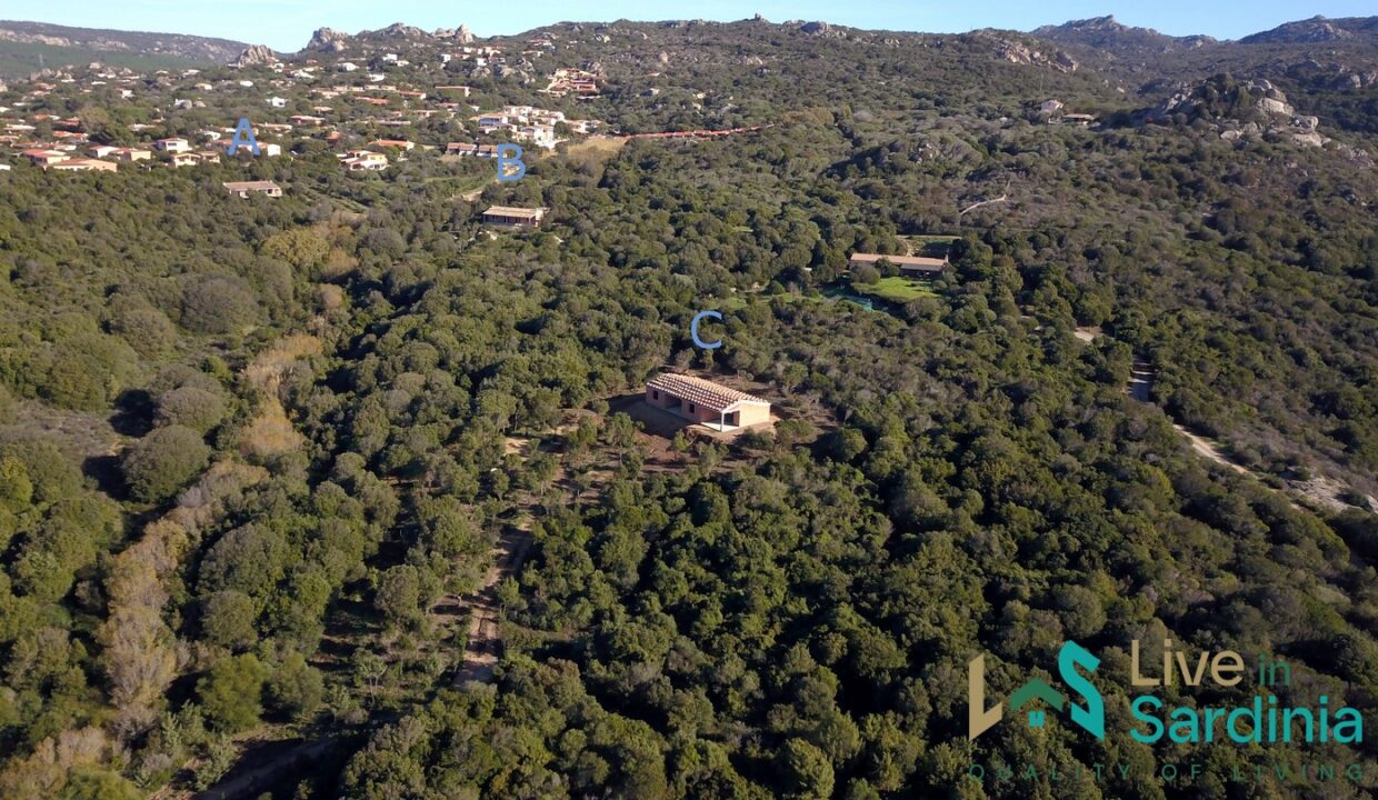 rural-villas-for-sale-in-Sardinia