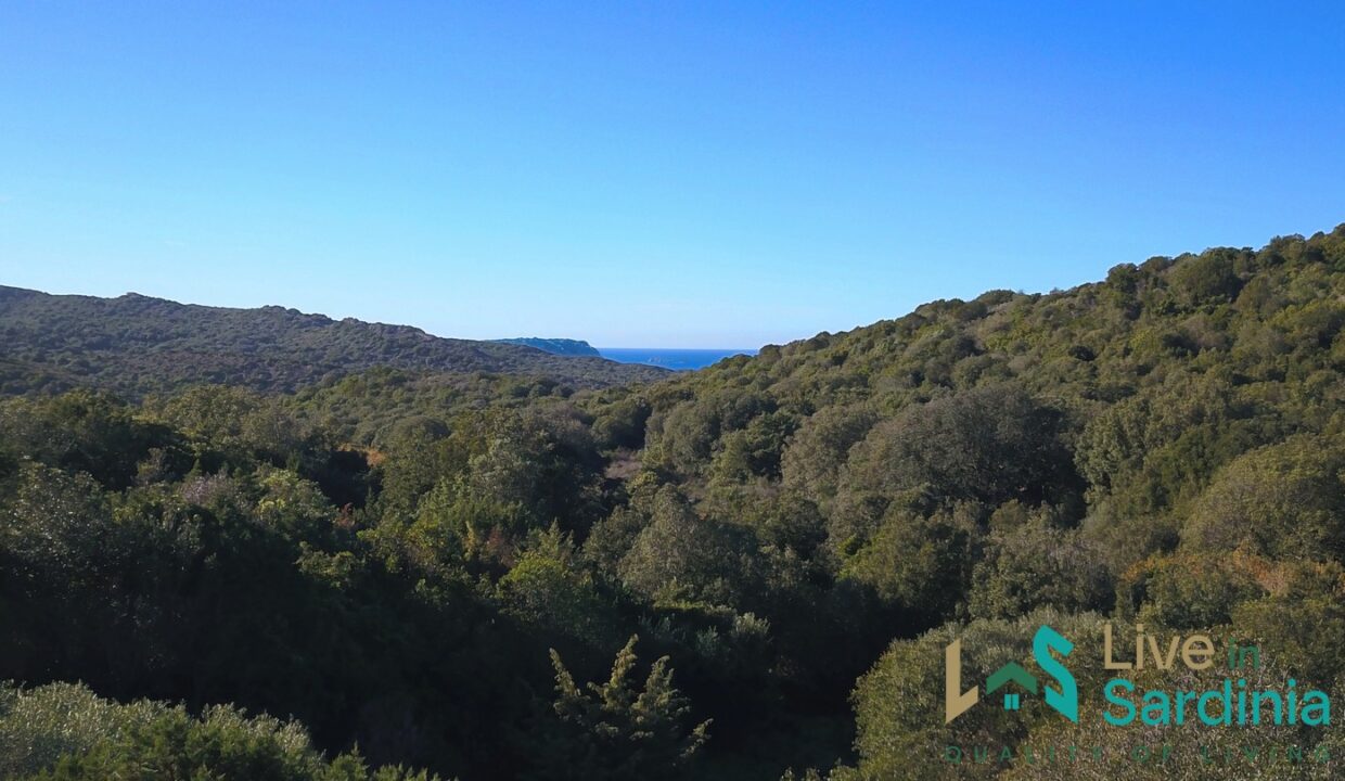 Villas-for-Sale-Near-Santa-Teresa-Di-Gallura-Northern-Sardinia