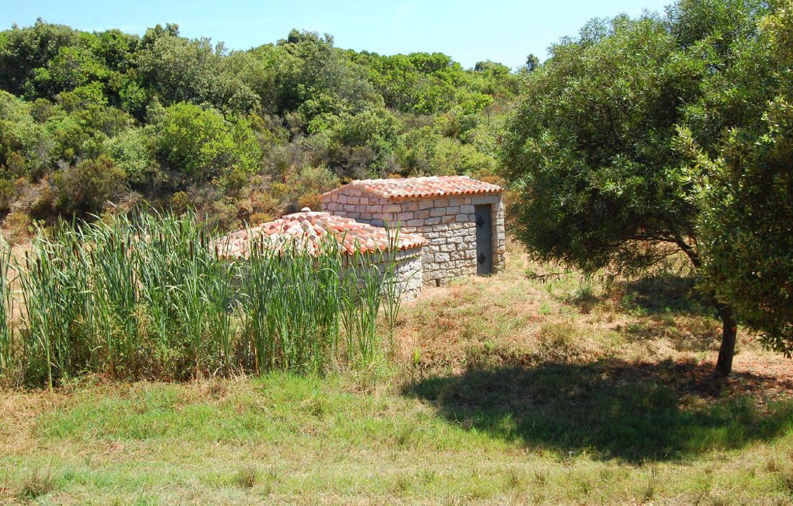 rural-villas-for-sale-in-Sardinia (67)