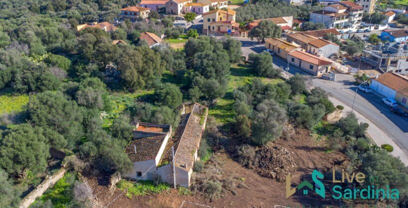 Rustic Home with Olive Grove For Sale Near Sale In Porto San Paolo