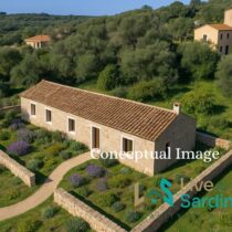 Single-story white Mediterranean house with terracotta roof, surrounded by lavender, aromatic plants, and wild grass, viewed from the si