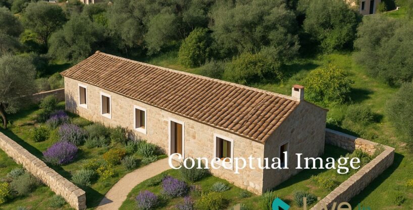 Single-story white Mediterranean house with terracotta roof, surrounded by lavender, aromatic plants, and wild grass, viewed from the si